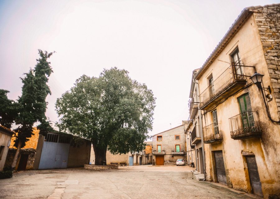 Castellnou d'Oluges · Cervera