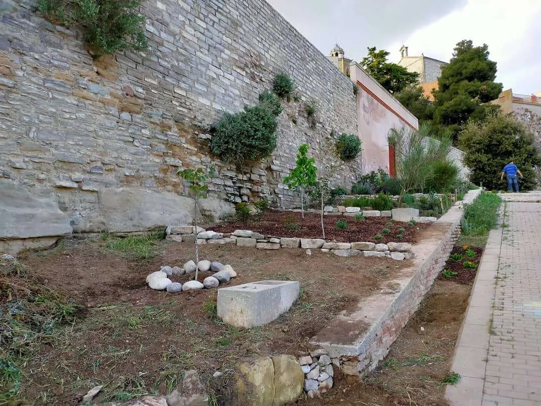 Cervera arranja la zona enjardinada del Portal dels Pous