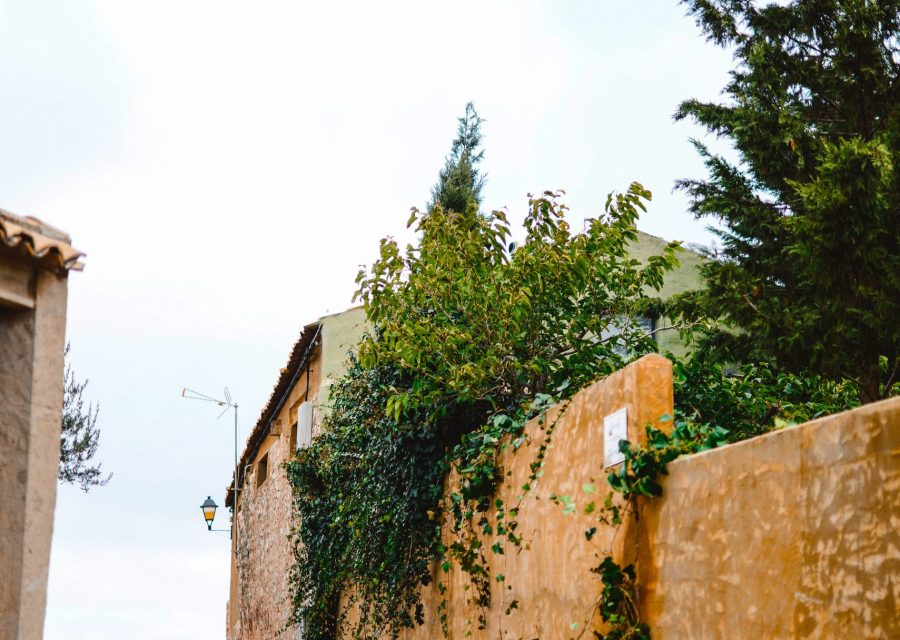 La Cardosa · Cervera