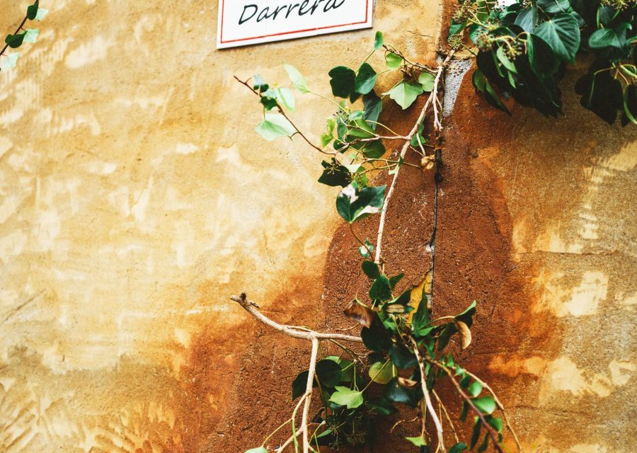 La Cardosa · Cervera