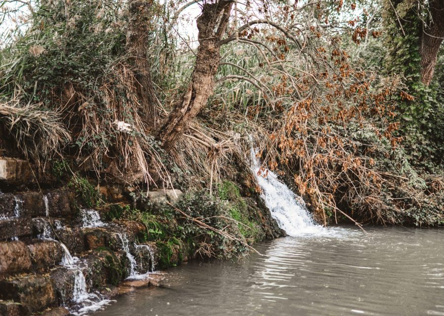 La Prenyanosa · Cervera