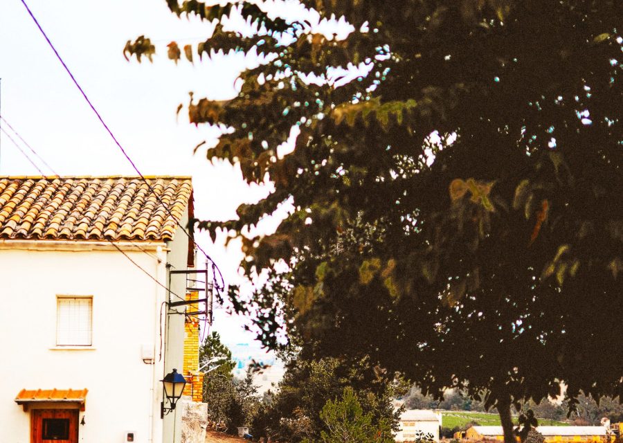 La Prenyanosa · Cervera