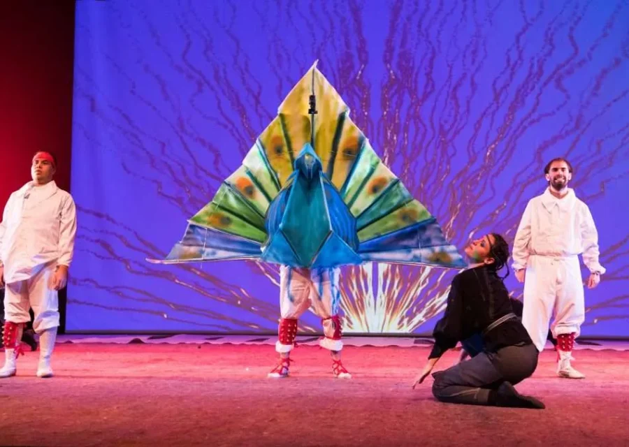 L’estrena de l’espectacle MEM dona el tret de sortida als actes de «Cervera Capital de la Cultura Catalana 2019»