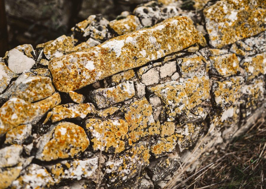 Malgrat · Cervera