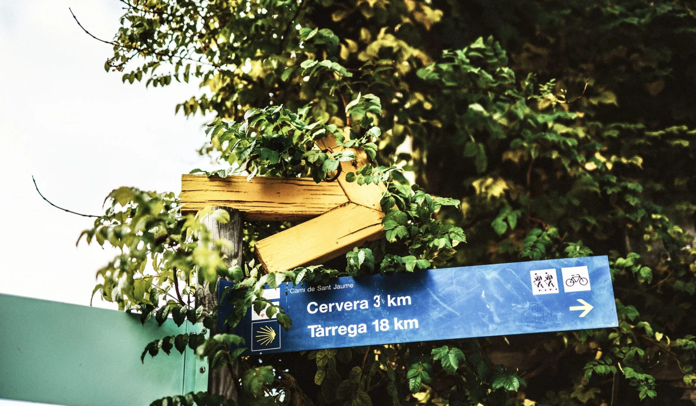 Vergós · Cervera