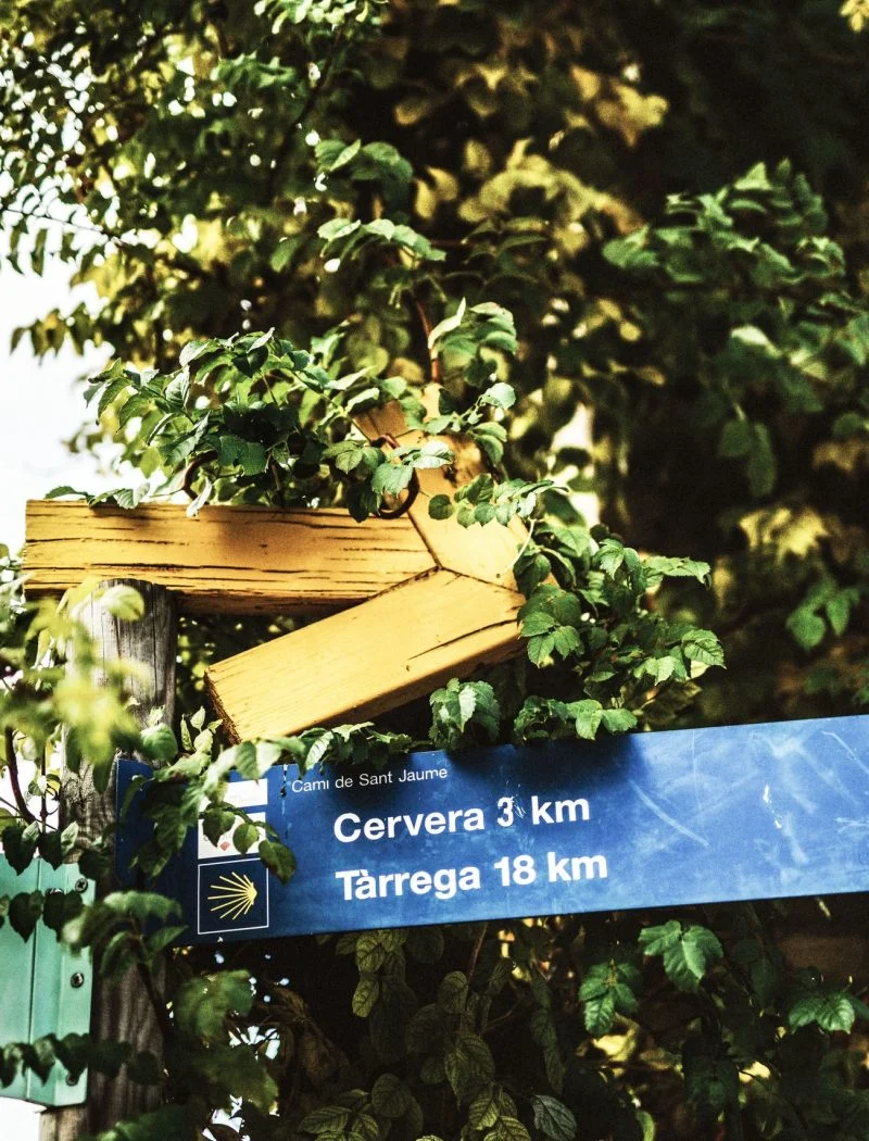 Vergós · Cervera