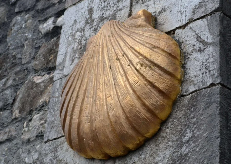 Petxina daurada del Camí de Sant Jaume fixada sobre un mur de pedra.