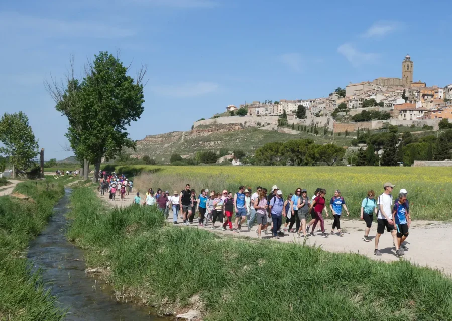 Cervera redescobreix el patrimoni històric amb una multitudinària Caminada del Mil·lenari