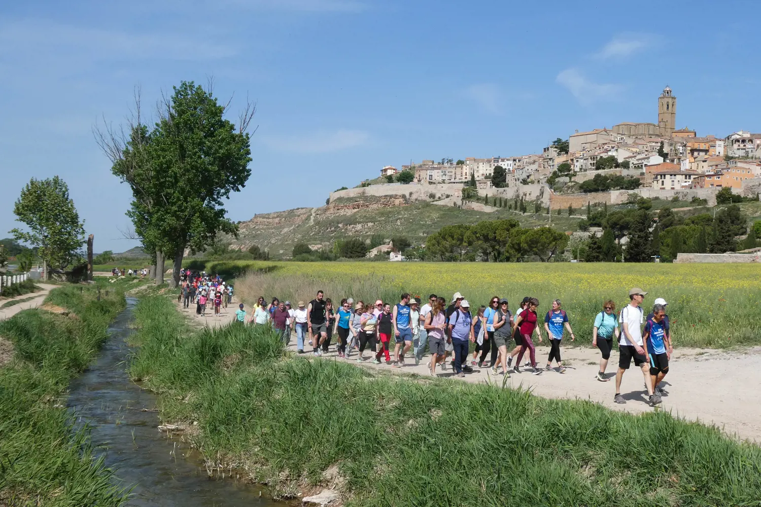Cervera redescobreix el patrimoni històric amb una multitudinària Caminada del Mil·lenari